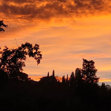 Vista Su Giardini Storici In Oltrarno Apartamento Florença Exterior foto
